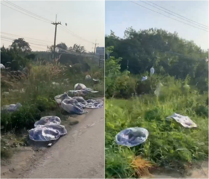 โคมยี่เป็ง