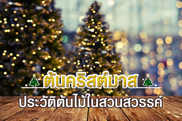 ประวัติต้นคริสต์มาส