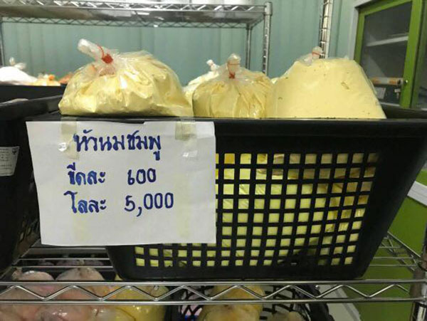 ค้นตลาดใหม่ดอนเมือง