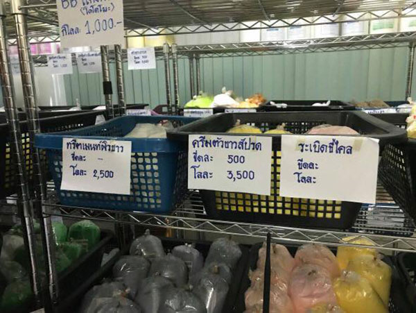 ค้นตลาดใหม่ดอนเมือง