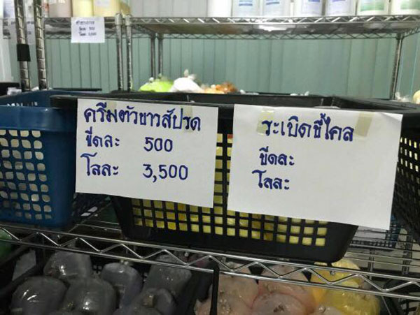 ค้นตลาดใหม่ดอนเมือง