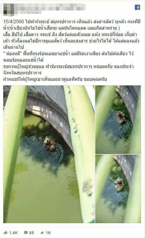 โวยฟาร์มจระเข้ดังละเลยสัตว์