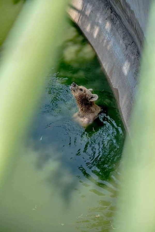 โวยฟาร์มจระเข้ดังละเลยสัตว์