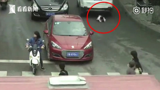 แม่เผลอปล่อยลูกสาววัย 2 ขวบเดินออกถนน