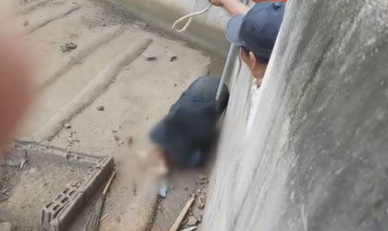 หมีควายกัดคน