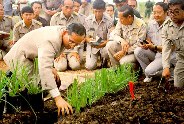 ยูเอ็นจัดงาน วันดินโลก 5 ธ.ค. เทิดพระเกียรติในหลวง ร.9
