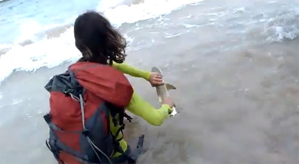 นักท่องเที่ยวเจอบทเรียนครั้งใหญ่ หลังจับลูกฉลามขึ้นมาถ่ายรูปเล่น