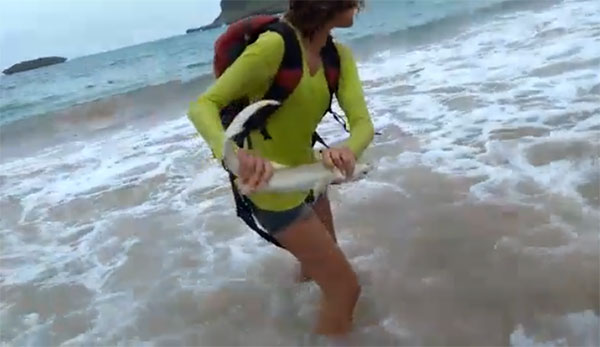 นักท่องเที่ยวเจอบทเรียนครั้งใหญ่ หลังจับลูกฉลามขึ้นมาถ่ายรูปเล่น