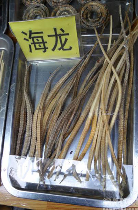 สารพัดสัตว์เสียบไม้จากสตรีทฟู้ดจีน