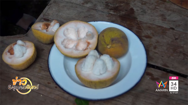 ยายกลืนเมล็ดกระท้อน ตาย