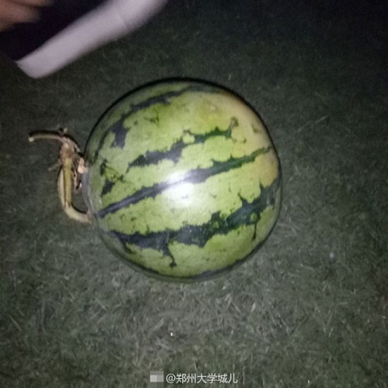 หอบแตงโมง้อแฟนเก่า