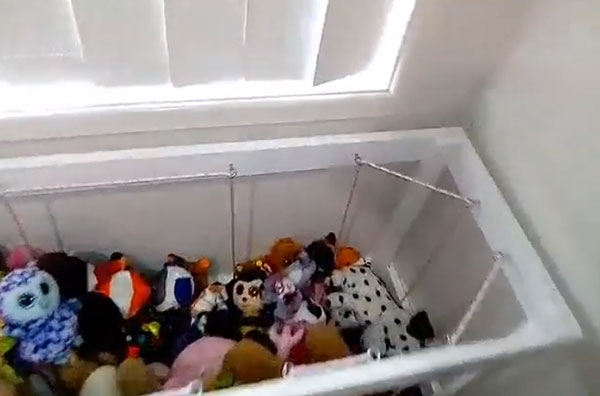 งูพิษเข้าบ้านแฝงตัวในกองของเล่น