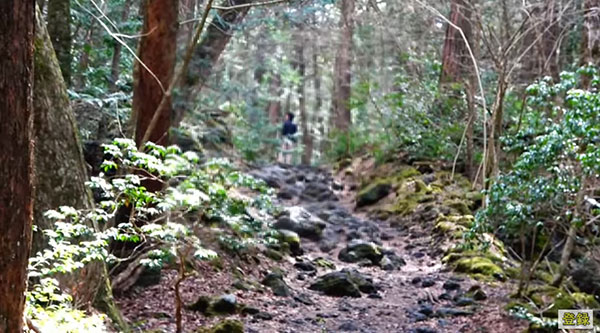 หนุ่มอัดคลิปในป่าฆ่าตัวตายอันลื่อชื่อ แต่ในครั้งนี้ มันสามารถช่วยได้ 1 ชีวิต