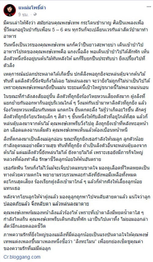 เรื่องเล่า น้าหมู พงษ์เทพ ล่าสัตว์