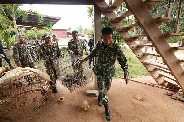 ลักลอบค้าสัตว์ป่าคุ้มครอง 