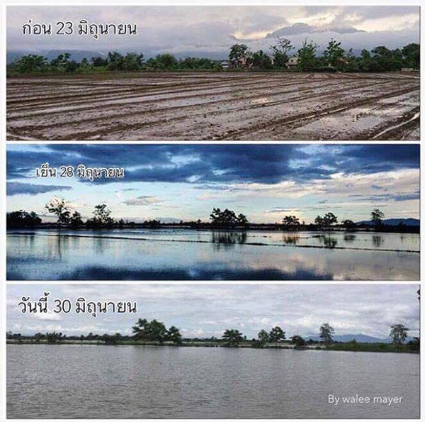 จ่อเยียวยาชาวนารับน้ำถ้ำหลวงกว่า 1 พันไร่