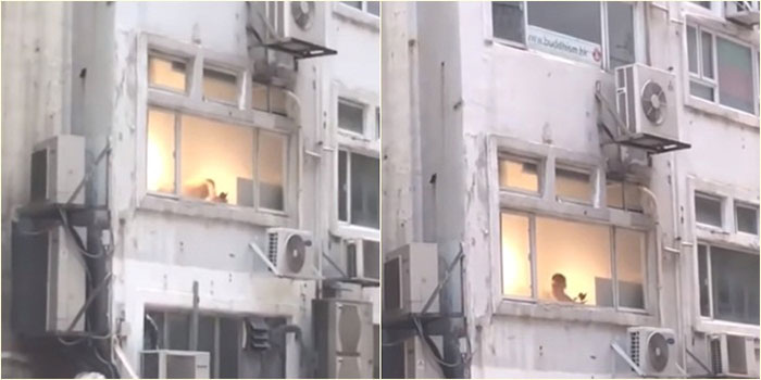 คู่รักเล่นเซ็กส์ท่ายากเร้าใจบนอพาร์ตเมนต์