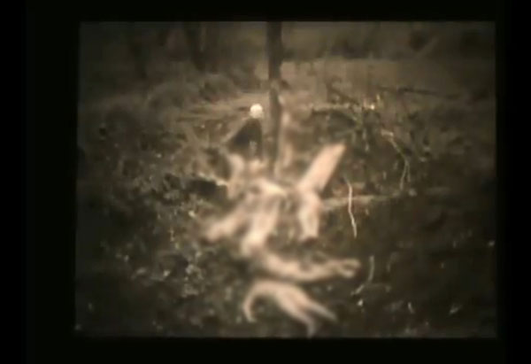 หดหู่...เปิดภาพประวัติศาสตร์ ทาสกามเกาหลีถูกทหารญี่ปุ่นสังหารหมู่