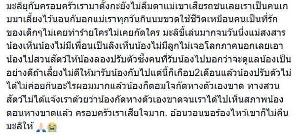 คลิปสะเทือนใจ ลิงเลียน้ำตาเจ้าของผ่านกรง...ตรอมใจโดนแยกจากกัน