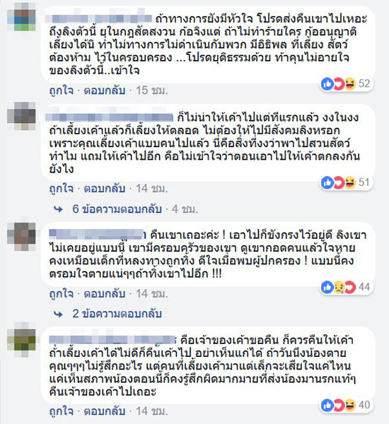 คลิปสะเทือนใจ ลิงเลียน้ำตาเจ้าของผ่านกรง...ตรอมใจโดนแยกจากกัน