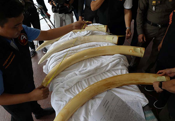 เปรมชัย พร้อมภรรยา ขึ้นศาลสู้คดีครอบครองงาช้าง