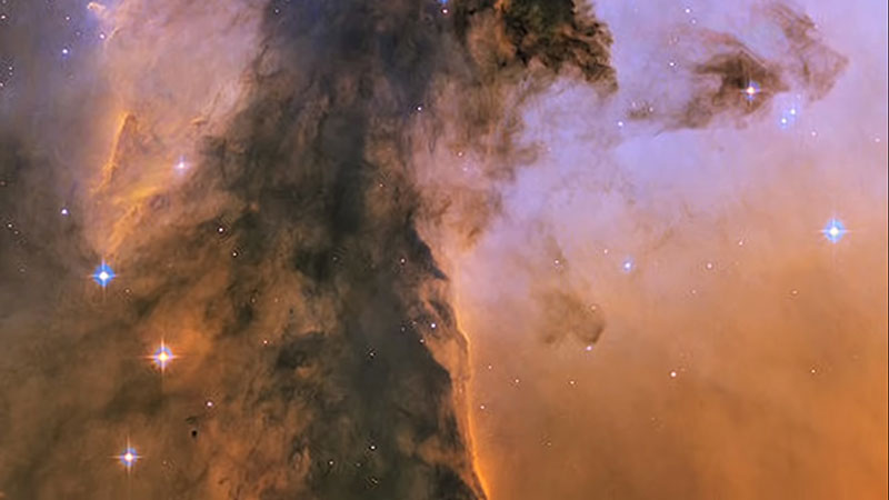 ไขความลับ.. ความฝัน เกิดจากอะไร ทำไมคนเราถึงฝัน !?