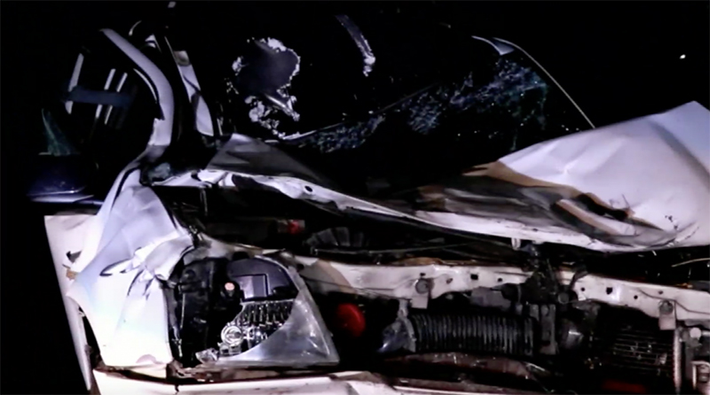 กระบะชนช้างป่าเขาใหญ่ ขณะกำลังข้ามถนน คนขับถูกช้างทับดับคาที่ 