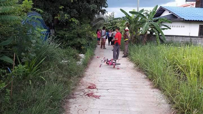 หมากัดเด็ก