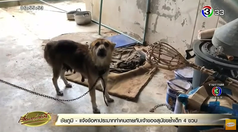 หมากัดเด็ก