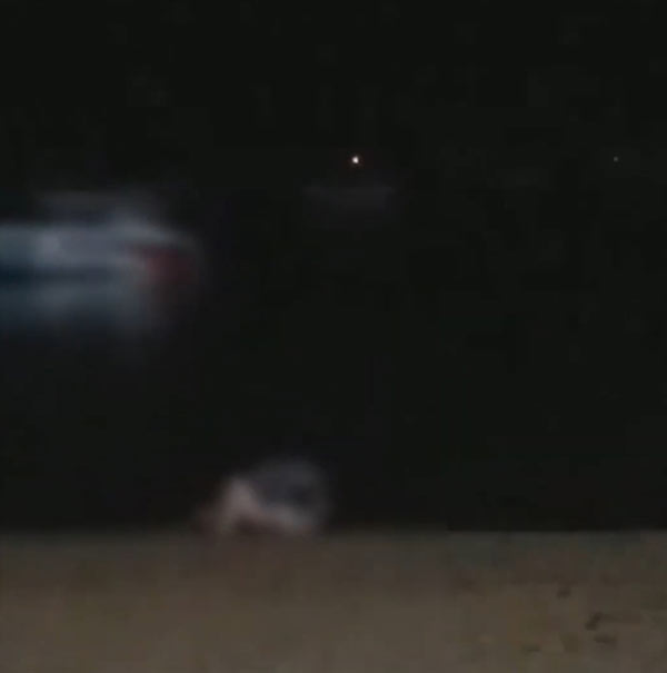 ฝรั่งมีเซ็กส์ริมทะเลพัทยา