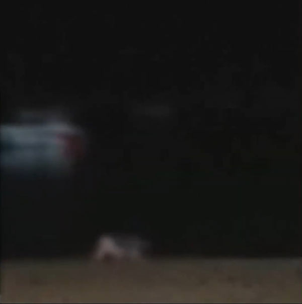 ฝรั่งมีเซ็กส์ริมทะเลพัทยา