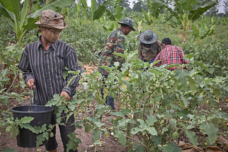 ผู้ลี้ภัยในเมือง ลมหายใจที่ยังรอความหวัง