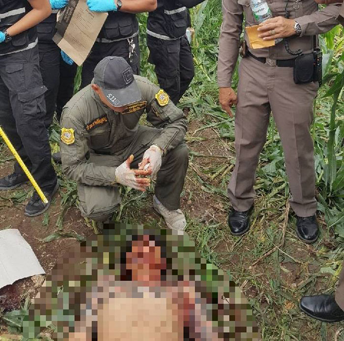 แฝดนรกคิสเนอร์