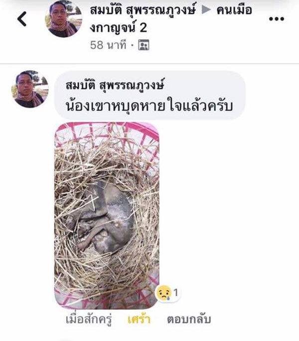 เศร้า.. นางอาย โดนไฟคลอก นอนเจ็บรอความช่วยเหลือชาวบ้าน พบหยุดหายใจแล้ว