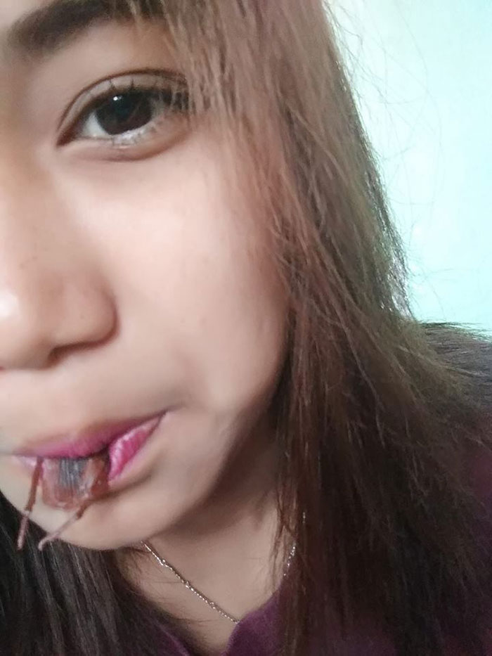 ชาเลนจ์แมลงสาบ