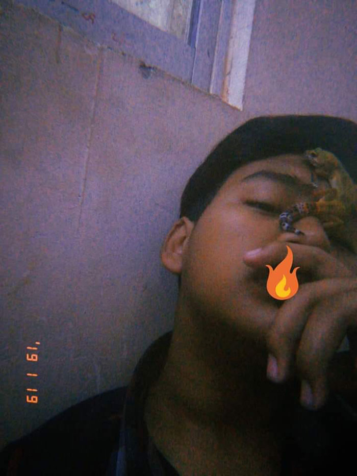 ชาเลนจ์แมลงสาบ