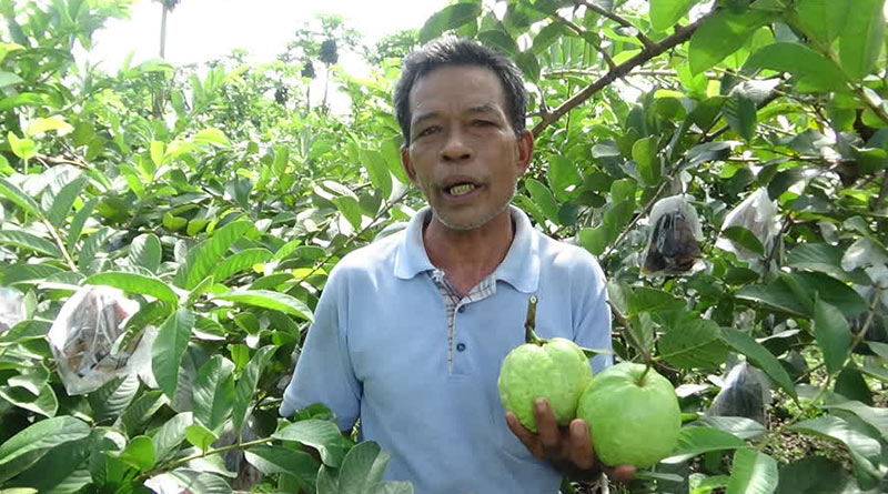 ราคายางพารา