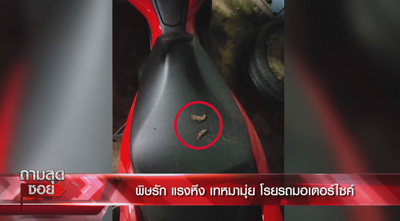 หมามุ่ยเทใส่รถ