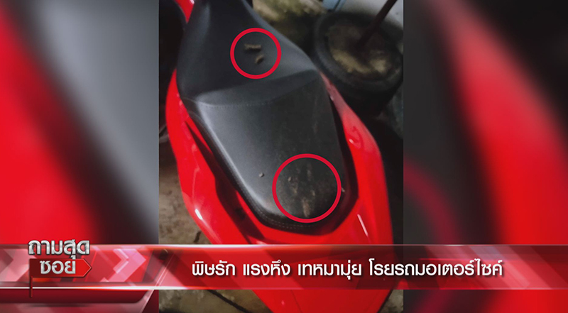 หมามุ่ยเทใส่รถ