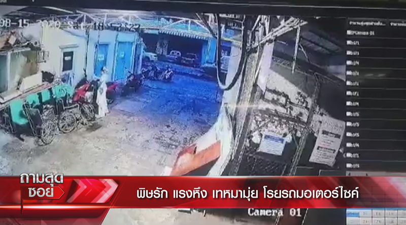 หมามุ่ยเทใส่รถ