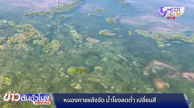 แม่น้ำโขงแล้ง