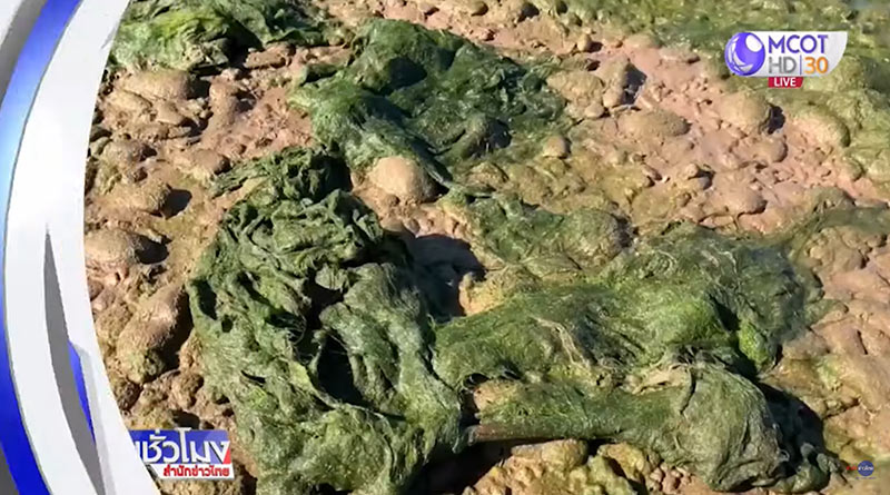 แม่น้ำโขงแล้ง