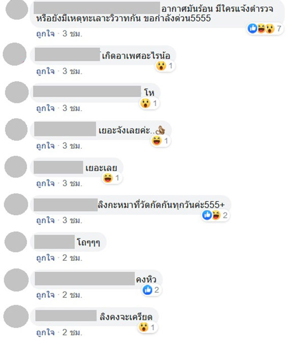ลิงลพบุรี