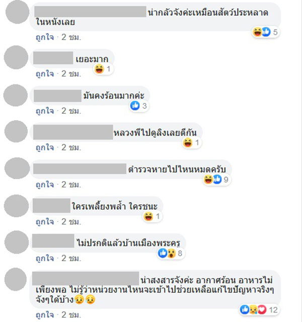 ลิงลพบุรี