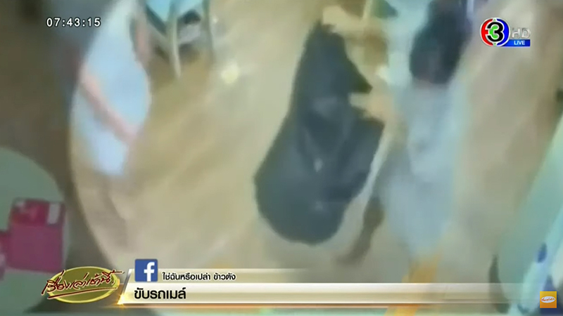 สารสาสน์วิเทศราชพฤกษ์