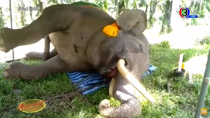 สิ้น พลายแสงจันทร์