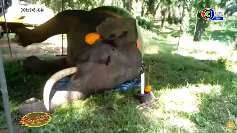 สิ้น พลายแสงจันทร์