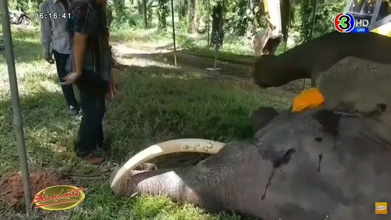 สิ้น พลายแสงจันทร์