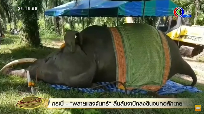 สิ้น พลายแสงจันทร์