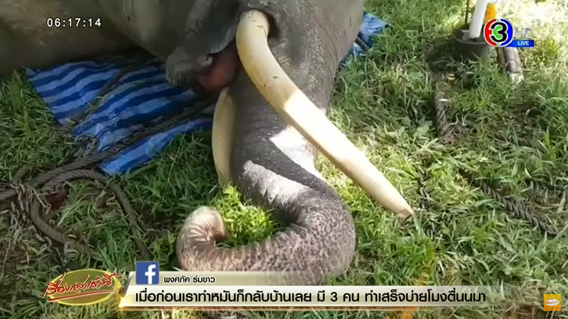 สิ้น พลายแสงจันทร์